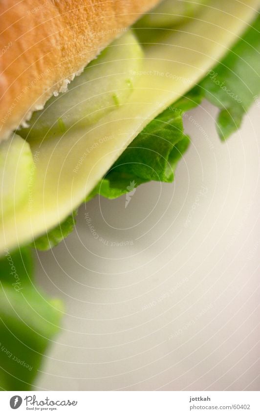 delicious bread part III Bread Sandwich Cheese Roll Green Nutrition Allocate Cucumber Lettuce Food salad eat healthy