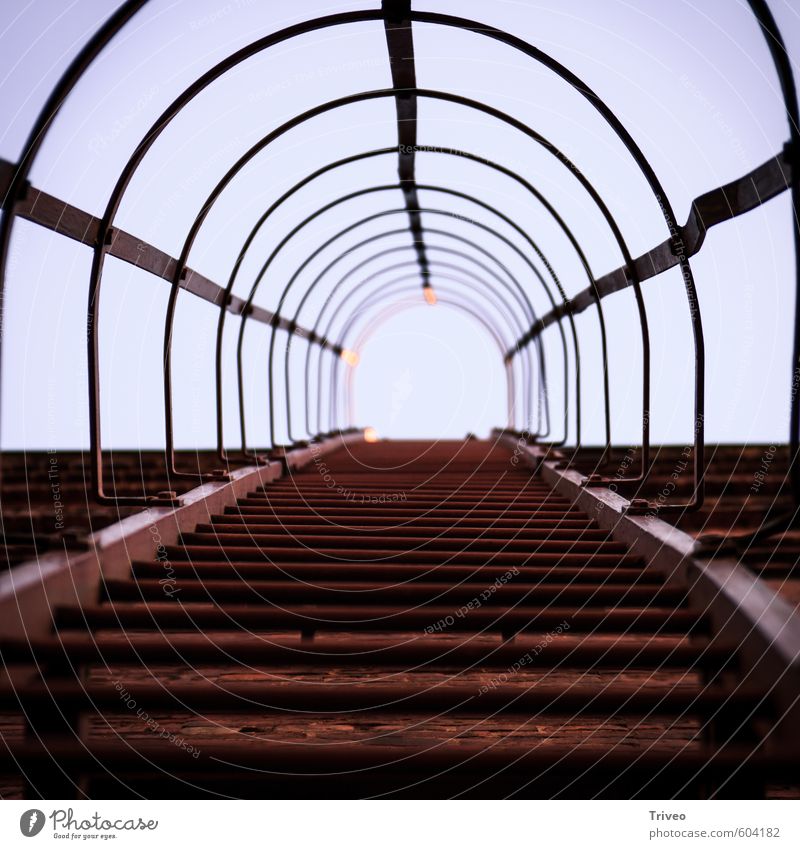 Stairway to heaven Village Stairs Death Mine 'Zollverein' mine Go up Upward Banister Ladder Rung Rust Red Heaven Colour photo Day Worm's-eye view