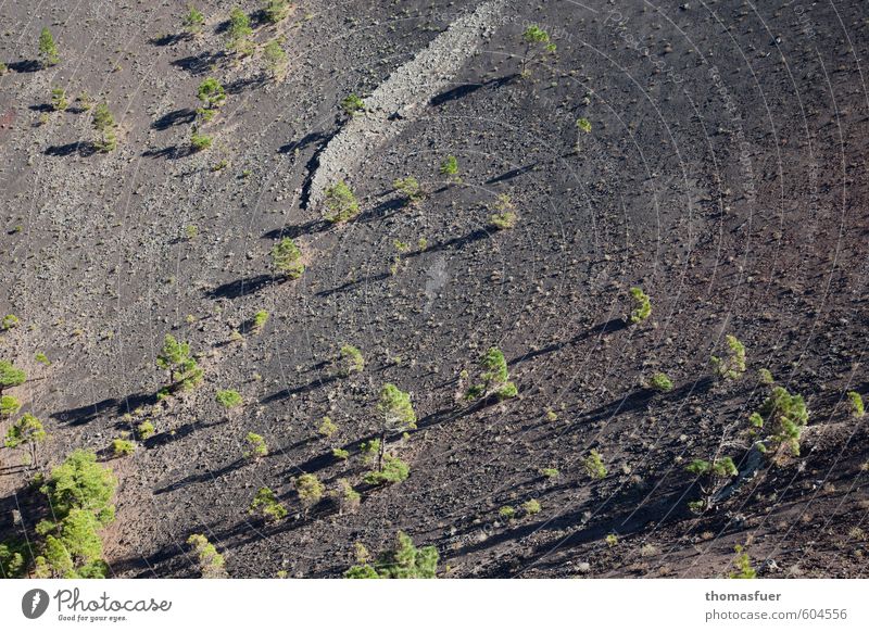 At the bottom of the volcano Vacation & Travel Tourism Far-off places Mountain Hiking Nature Landscape Elements Earth Sand Beautiful weather Wind Tree