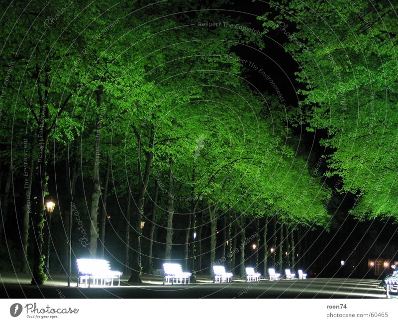 neon benches Hofgarten Neon bank Neon light Tree Night Green Duesseldorf Nature