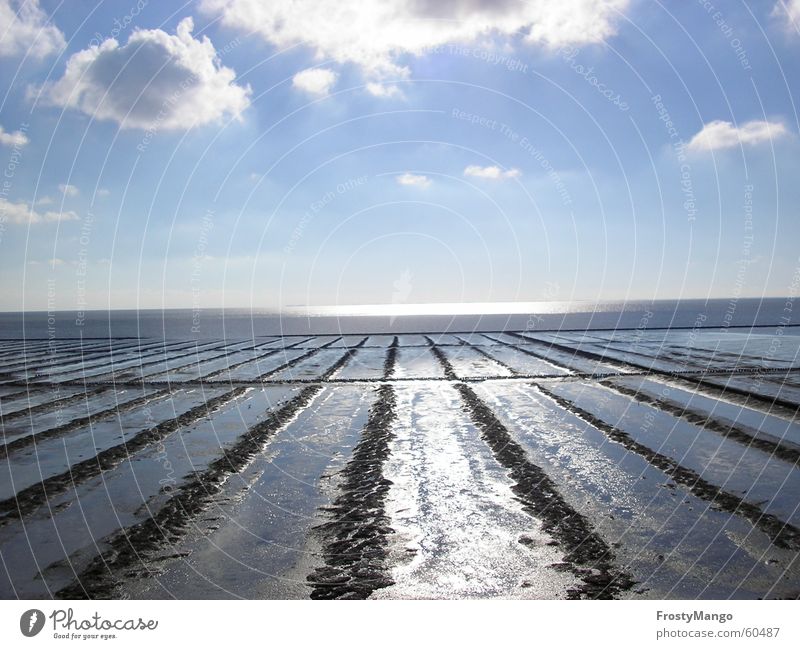 Low tide?? Ocean High tide Landscape Sun Water