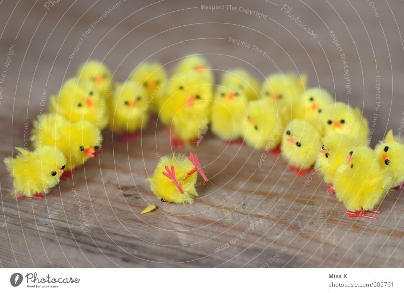 curious onlookers Illness Intoxicant Alcoholic drinks Crowd of people Pedestrian Traffic accident Bird Group of animals Lie Funny Curiosity Yellow Emotions