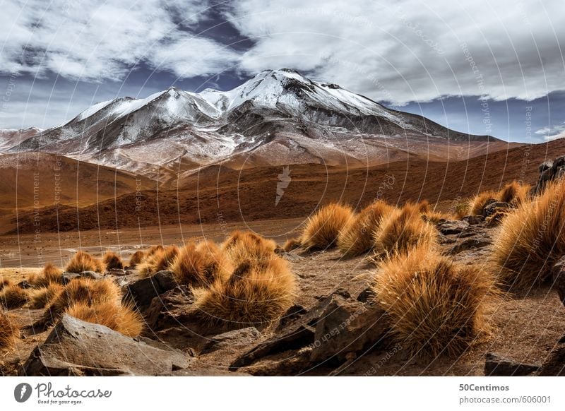 The glacier in the Andes Vacation & Travel Tourism Adventure Far-off places Freedom Safari Expedition Mountain Climbing Mountaineering Environment Landscape Sky