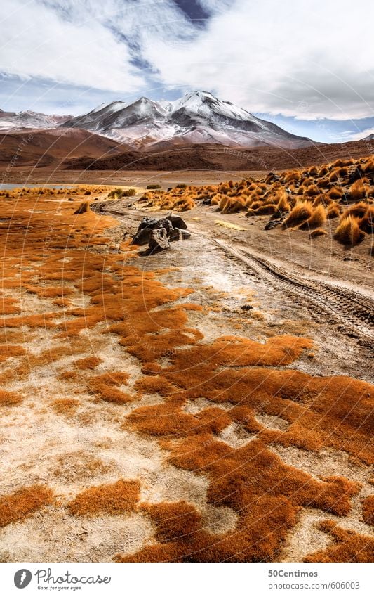 Mountain road in the Andes Vacation & Travel Tourism Trip Adventure Far-off places Freedom Sightseeing City trip Safari Expedition Hiking Climbing