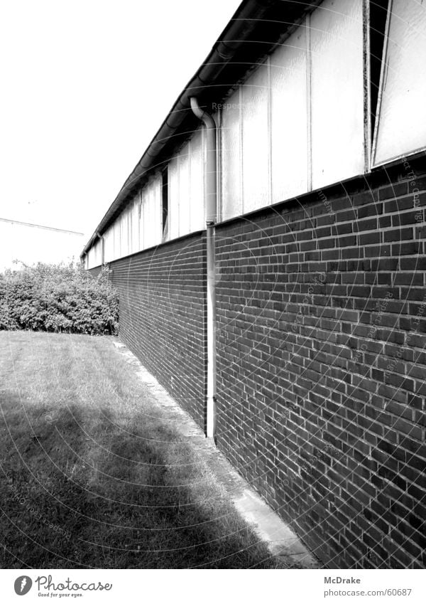 industrial wall Wall (building) Gray Decline Brick Derelict Bushes Heek Village Meadow Thought Future Past Exterior shot Industrial Photography Nature