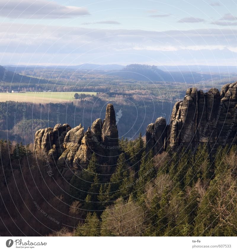 View from the Schrammsteinen to the Königstein Environment Nature Landscape Field Forest Hill Rock Mountain Looking Hiking Free Tall Saxon Switzerland