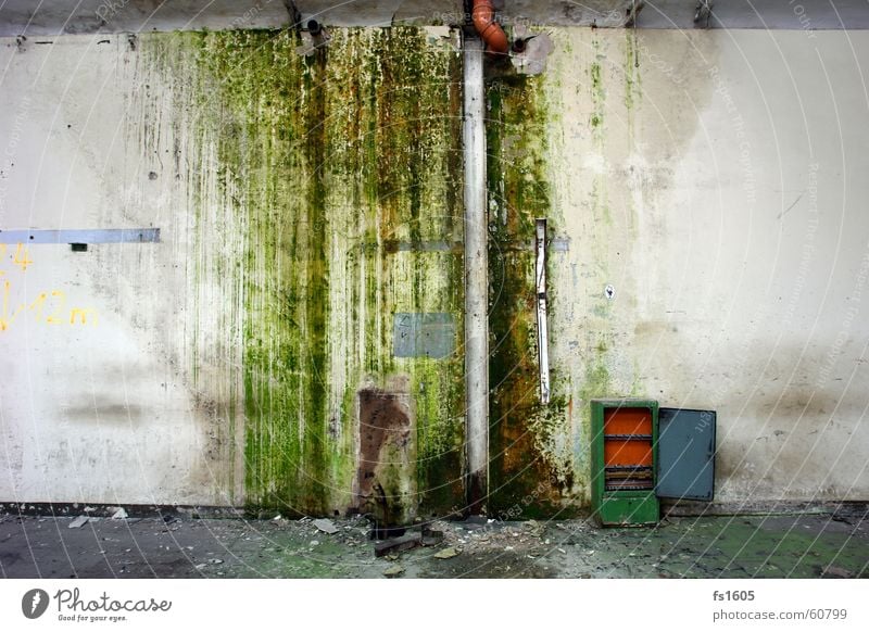 industrial trash Green Wall (building) Trash Rain gutter Algae Damp Dirty Water Industrial Photography