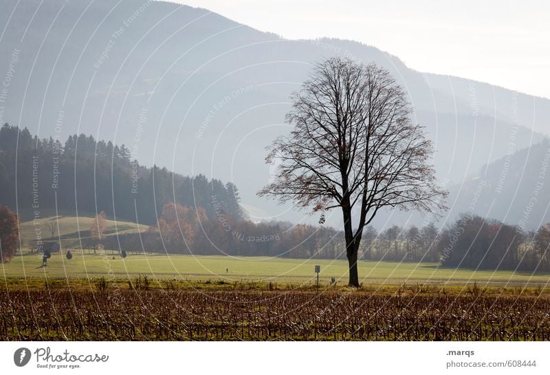 spring Trip Environment Nature Landscape Sky Spring Beautiful weather Tree Meadow Field Forest Hill Fresh New Moody Spring fever Colour photo Exterior shot