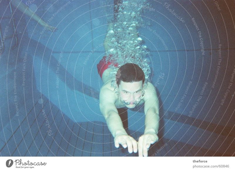 blistered beard Dive Swimming pool Breathe dlg Water Underwater photo Swimming & Bathing