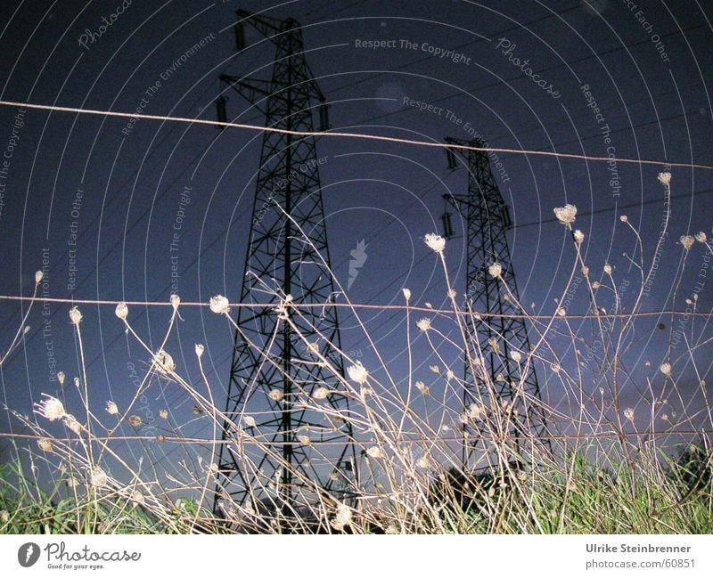 High voltage pylons behind pasture fence during thunderstorms Colour photo Exterior shot Evening Night Thunder and lightning Meadow Field Force