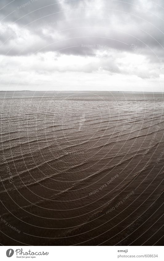 /// Environment Nature Sky Clouds Autumn Winter Bad weather Storm Wind Gale Waves Coast Ocean Dark Gray Colour photo Subdued colour Exterior shot Deserted Day