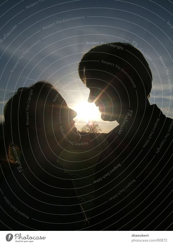 sweet summer love Love Romance Kissing Relationship Sunset Summer Black Blue Nature sunn set