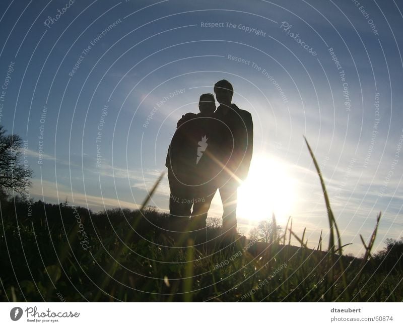 sweet summer Love Romance Kissing Relationship Sunset Grass Green Summer Black Blue Nature sunn set Couple Partner In pairs Lovers Together Trust Affection