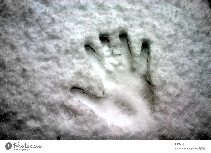 Winter impression_II Hand Cold Fingers Thumb Style White Macro (Extreme close-up) Close-up Snow Contrast depressed Imprint Fingerprint