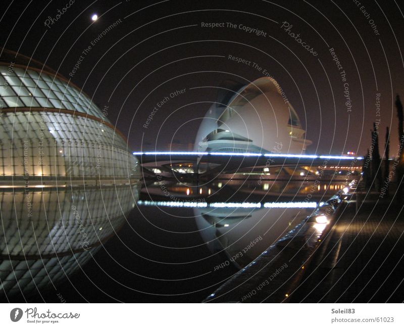 Ciudad de las Artes y las Ciencias Valencia Spain Night Reflection Lighting ciudad de las artes y las ciencias science city Moon Water Eyes hemispheric