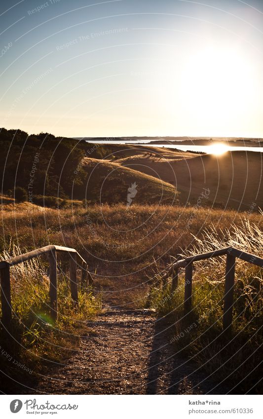 Sunset on Rügen . Island Hiking Beautiful weather Grass Meadow Lanes & trails Warmth Gold Calm Freedom Relaxation Idyll Bakenberg good for the monk monkgut