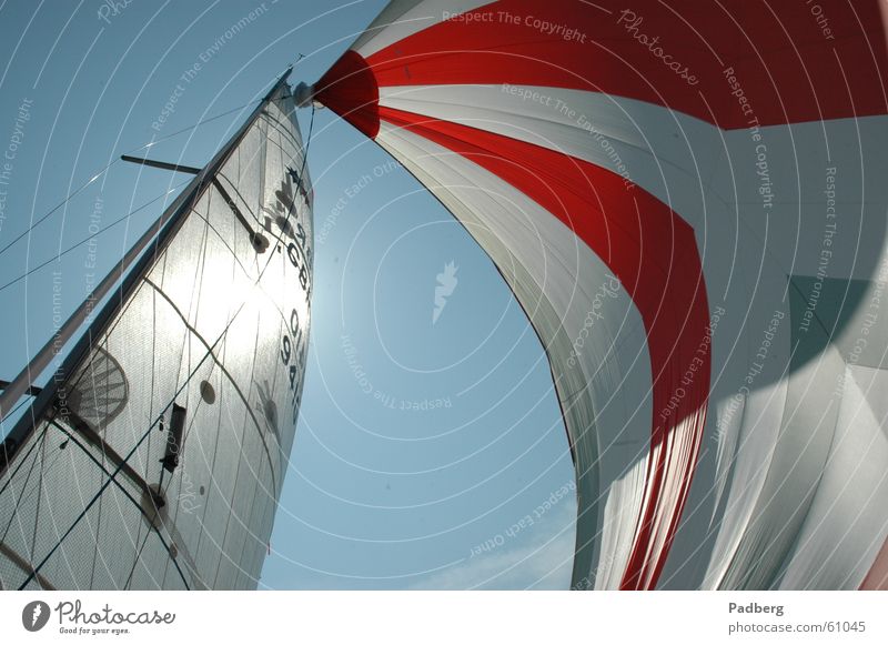 Pure sailing Sailing Aquatics Air Light Adventure sailing on the ijsselmeer gennaker coloured sails high speed Sun good feeling Wind strokes the nose Freedom