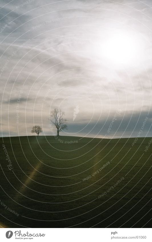 Shadow play with sun and clouds Clouds Tree Fog White Green Meadow Hill Sun Reflection