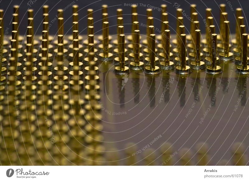 CPU Processor Electrical equipment Macro (Extreme close-up) Digital photography Binary Hardware Calculation Contact Gold silicon Electronics Technology