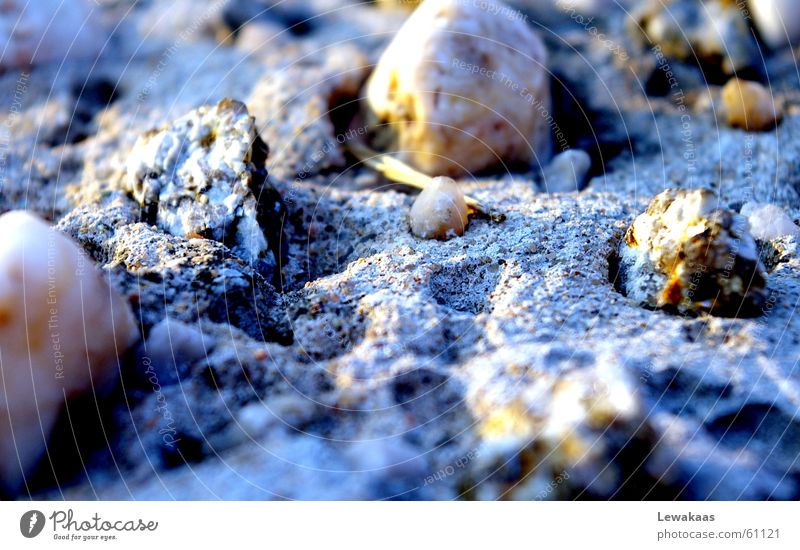 stones Light Gloomy Beach Vacation & Travel Relaxation Near Stone Earth Sand Shadow Sparse Floor covering Sun Graffiti Blue Detail