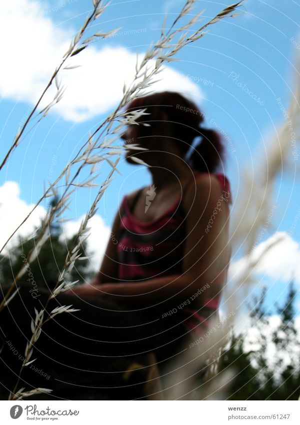 distant view Summer Portrait photograph Summer's day Clouds Meadow Grain look into the distance Sky