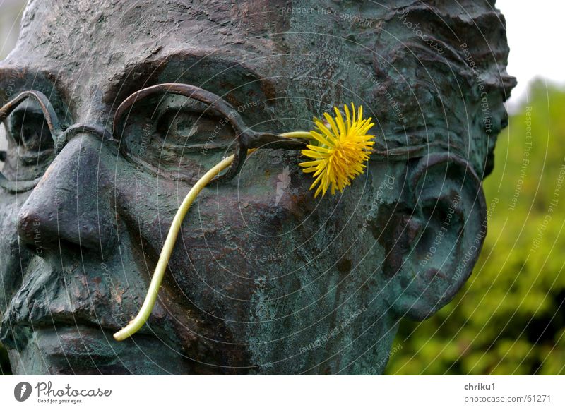 Dr. Dandelion Bust Bronze Eyeglasses Man Moustache Flower Yellow Plant Exterior shot Portrait photograph Motionless Cold Head spa physician Metal Face Ear