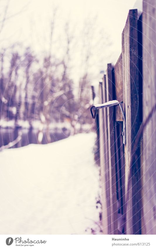 winter hooks Nature Winter Snow Fürstenfeldbruck Deserted Cold Gloomy White Metalware Wooden board Wooden fence Corner Screw exemption Colour photo