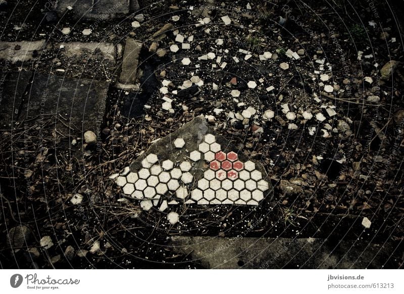 Wall tile destroyed on the floor Floor covering Going Old Broken Pattern run-down Tile Dirty Red White Chaos Destruction Transience Colour photo Subdued colour