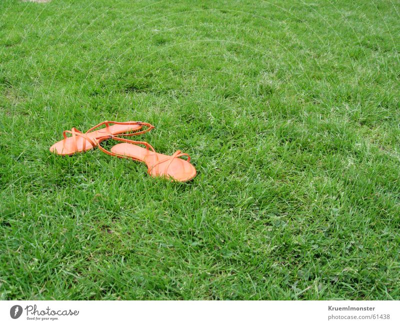 My Shoes Footwear Sandal Meadow Green Summer Orange