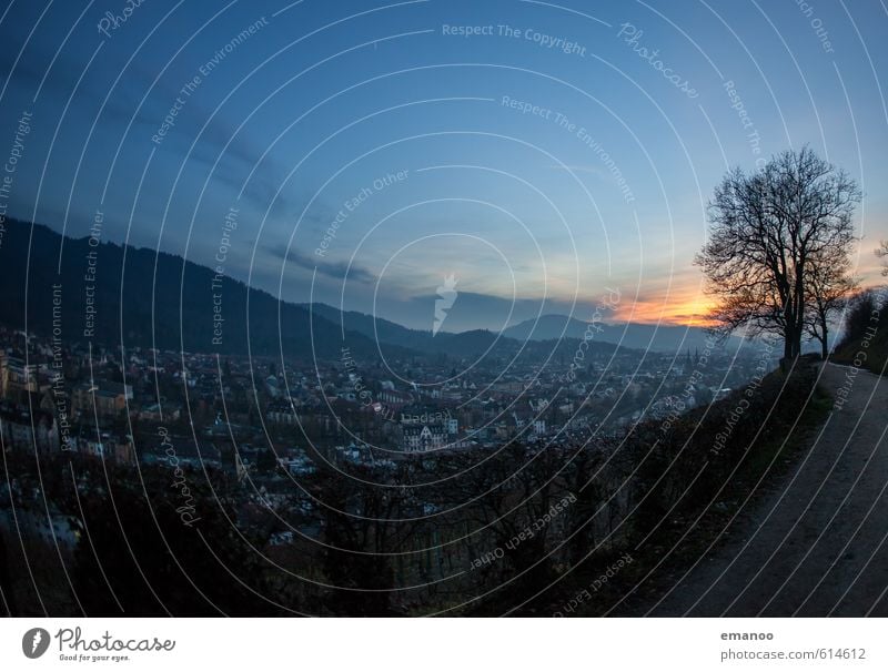 Freiburg evening Vacation & Travel Tourism Trip City trip Mountain Landscape Sky Clouds Winter Tree Hill Town Downtown Old town House (Residential Structure)