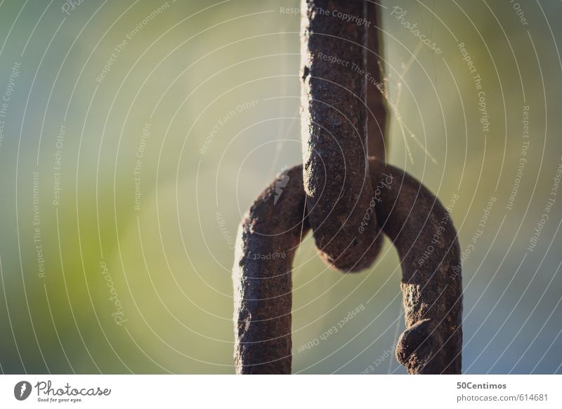 chain links Chain Chain link Metal Steel Old Firm Strong Stress Hope Colour photo Exterior shot Close-up Detail