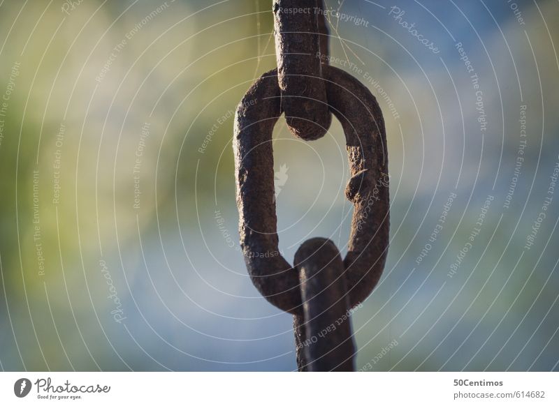 chain link Chain link Metal Steel Old Firm Broken Safety Stagnating Colour photo Exterior shot Detail Macro (Extreme close-up) Shallow depth of field