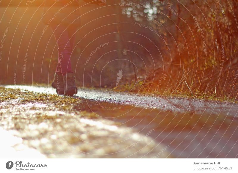 walk in the woods Feminine Girl Young woman Youth (Young adults) Life Legs 1 Human being Movement Relaxation Going Walking Friendliness Happiness Fresh Thin