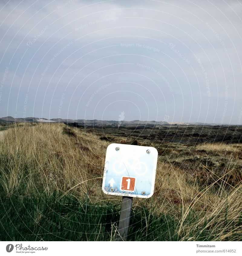 Number One Vacation & Travel Cycling Environment Nature Landscape Plant Beach dune Denmark Lanes & trails Cycle path Digits and numbers Signs and labeling Dark