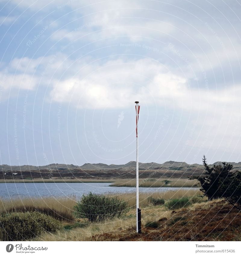 Show your colours! Vacation & Travel Nature Landscape Water Sky Clouds Beautiful weather Grass Bushes North Sea Lake Denmark Flag Flagpole Sand Hang Fresh