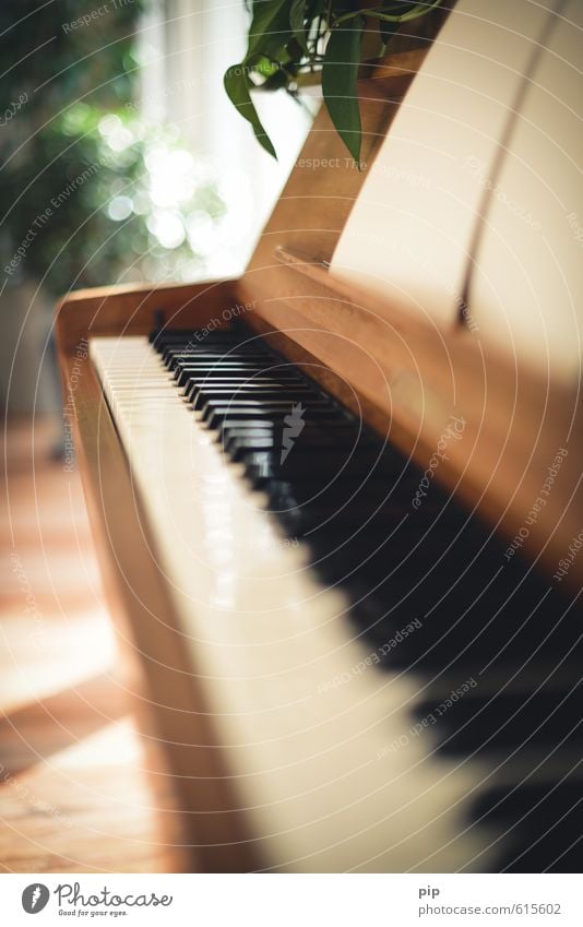 piano crescendo Piano Soft Brown Living or residing Keyboard White Black Musical instrument Blur Make music Keyboard instrument Vanishing point Colour photo