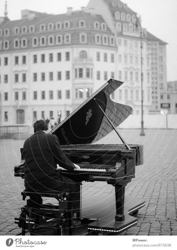 The Pianist Human being Man Adults Body 1 30 - 45 years Artist Music Concert Singer Musician Downtown Old town House (Residential Structure) Detached house