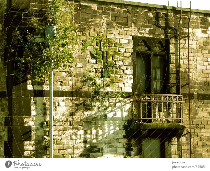 Rain pipe with face Window Balcony Historic Idyll Arrange House (Residential Structure) Shadow Nature Damp Green Undo Close Closed Urinate Tumbledown Building