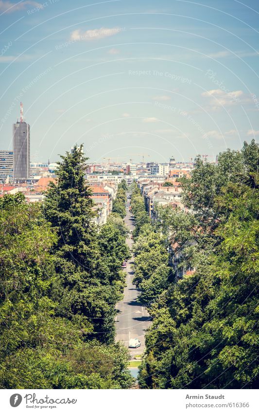 View from Kreuzberg to Berlin. Sightseeing City trip Summer Sun Beautiful weather Tree Hill Capital city Skyline Park Tourist Attraction Street Avenue Blue