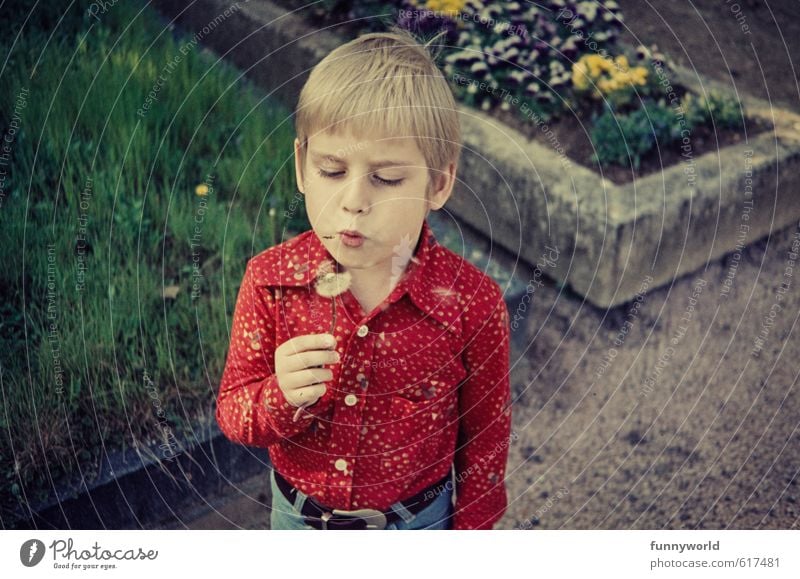 puuust puuust puuust! Boy (child) Infancy 8 - 13 years Child Retro Dandelion Red Seventies Grave Death Life Colour photo Exterior shot Copy Space right