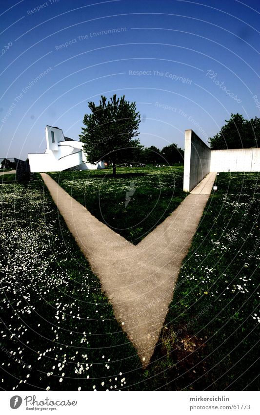 A riddle Meadow Flower Daisy House (Residential Structure) White Long Wide angle Lanes & trails Point pointy Sky Corner canon bigway Far-off places Architecture