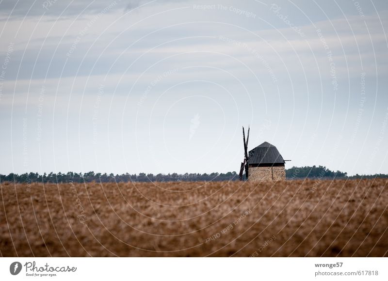 Half a stuff. Half a mill. Wind energy plant Industry Warnstedt Germany Saxony-Anhalt Europe Manmade structures Mill tower windmill Monument devil's mill