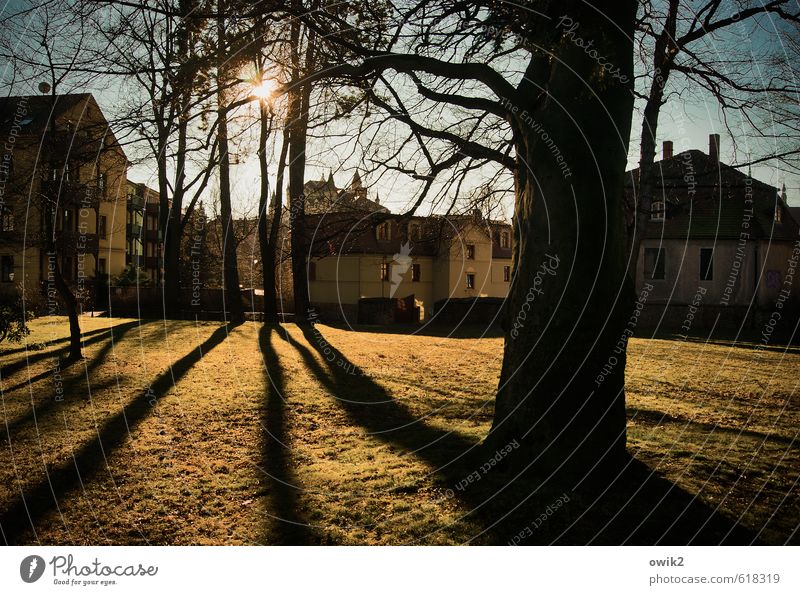 parking space Environment Nature Landscape Cloudless sky Climate Weather Beautiful weather Plant Tree Grass Twigs and branches Park Bautzen Germany