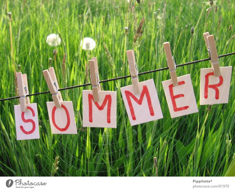 summer Summer Letters (alphabet) Grass Dandelion Clothesline Meadow Seasons Physics Happiness Good mood Beautiful Small Green Hot Light Year Rope To hold on