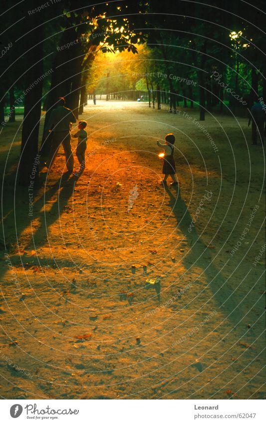 Sunset in the park Park Human being Tree Family & Relations Child Girl Light (Natural Phenomenon) Shadow sunset at the sunset Gold shade sun sunset