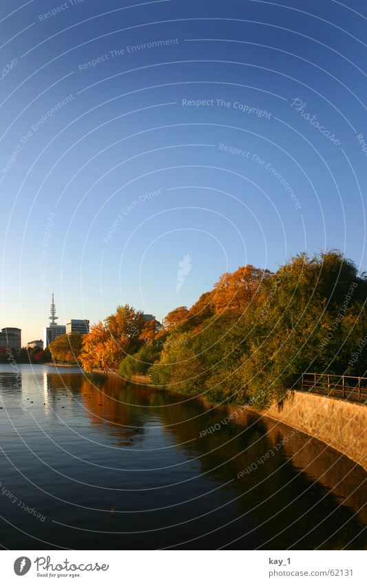 Inner Alster Sightseeing City trip Water Cloudless sky Autumn Beautiful weather Tree Lake Hamburg Town Downtown Blue Autumnal Autumnal colours Blue sky