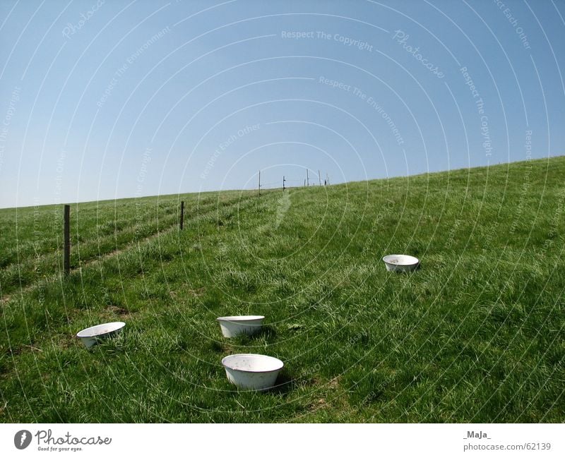 pasture Grass Green Fence Pasture Blue Sky Bowl Nature