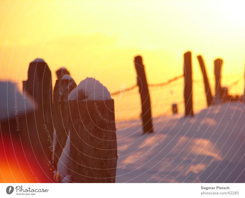 Sunset Fence Moody Snow Winter sun