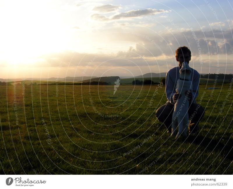 friends Friendship Sunset Dusk Calm Dog Man Clouds Crouch Horizon Together Like Trust Familiar Evening silence boy Mountain mountains Landscape cloud Lighting