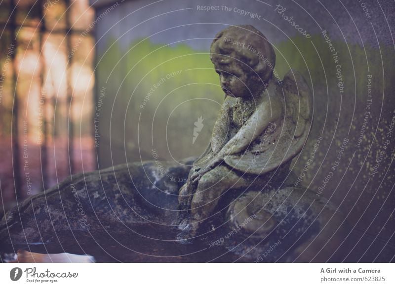 watching over Ornament Sit Angel Stone Statue Small Guard Cemetery Peaceful Protection Religion and faith Modest Well Tomb Subdued colour Exterior shot Detail